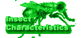 Insect_Characteristics