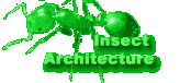 Insect  Architecture